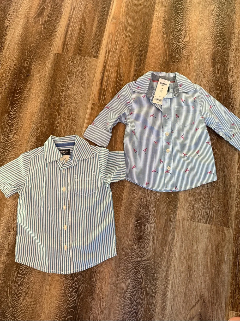 NEW & NWOT! Oshkosh Boys Short & Long Sleeve Dress Shirts Size 3